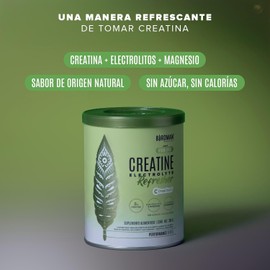 Birdman Creatine Electrolyte Refresher | Creatina Monohidratada con Electrolitos Esenciales, Glicinato de Magnesio y Vitaminas | Sin Azúcar, Sin Calorías | Sabor Lemon Twist | 30 Porciones | 300g