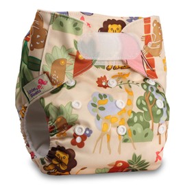 Littles & Bloomz, Reusable Pocket Cloth Nappy, Fastener: Hook-Loop, Set of 1, Pattern 15, with 1 Bamboo Charcoal Insert