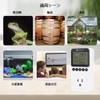 KETOTEK KT3200 Day and Night Temperature Controller Plug Digital Thermostat