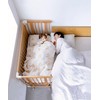 farska FLAGSHIP LINE 746247 Triple Gauze Toddler Pillow Cover (Molino