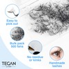 Tegan Lash 500 Extensiones De Pestañas Promade Fans Volume, Pestañas