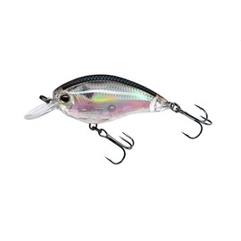 Yo-Zuri 3DR Shallow Crank Floating Lure, 2", Real Gizzard Shad