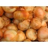Generic Fresh Sweet Vidalia Onions, USA Grown, NON-GMO, Bulk (1