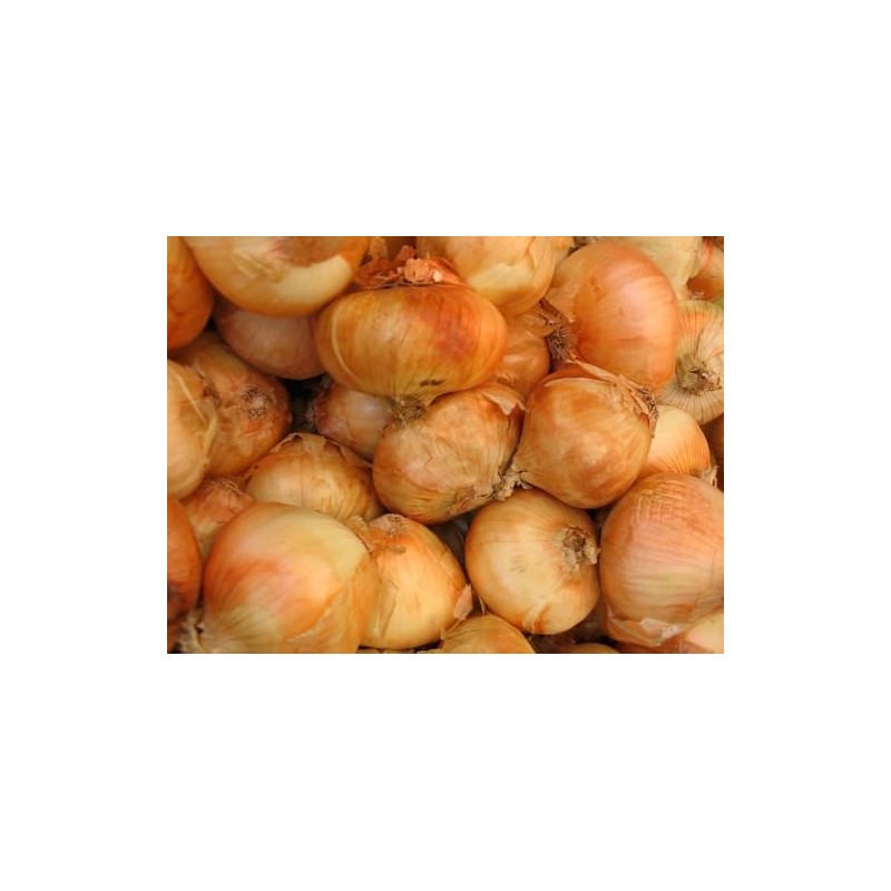 Generic Fresh Sweet Vidalia Onions, USA Grown, NON-GMO, Bulk (1