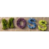 SuperMoss (25325) Forest Moss Preserved, Fresh Green, 3 Pounds