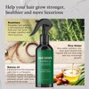 Rosemary Water Spray for Hair Growth, Rosemary Hair Growth Scalp