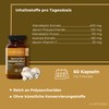 Viktilabs© Almond Mushroom - Agaricus Blazei - Capsules High Dose
