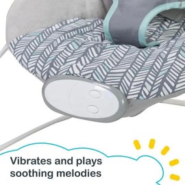 Baby Trend EZ Bouncer - Lightweight Design for Easy Use, Ideal for Children's Activities and Playtime Cozy Swing - Color: Ziggy