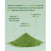Greens Support Prebióticos Y Enzimas Digestivas 30 Ingredi Sabor Na