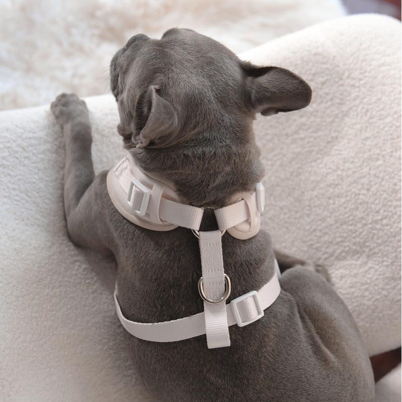 PETs R US Dog Harness Ivory Off White Neoprene Leather