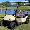 Darisoco Sun Palm Golf Cart Seat Covers Heavy-Duty 600D Oxford