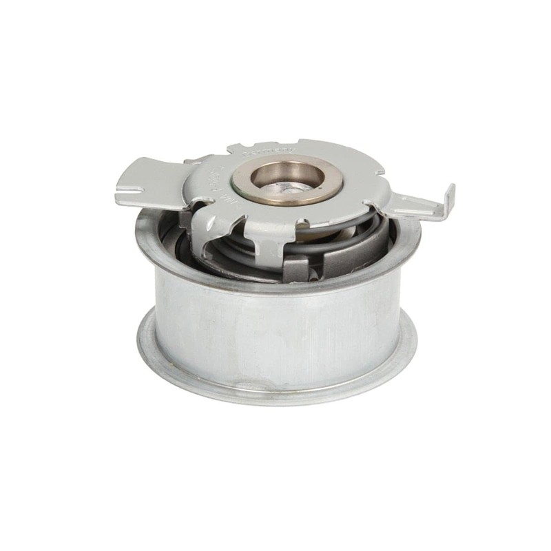 INA 531 0809 10 LUK 531080910 Tension Roller