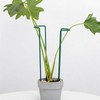 GOOOXIM Set of 10 Indoor Plant Support 12“- Durable U-Shape