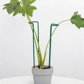 GOOOXIM Set of 10 Indoor Plant Support 12“- Durable U-Shape Iron Supports
