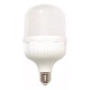 Molin Foco De Leds 20 Watts Luz De Dia Led
