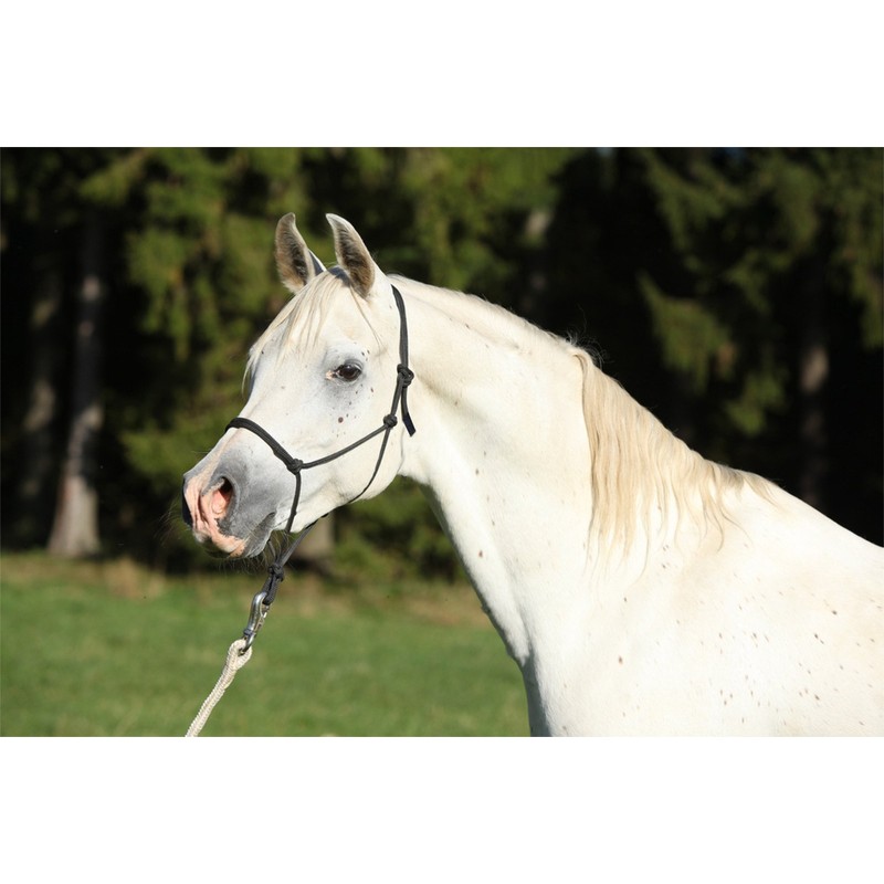 Hunters Saddlery Natural Horsemanship Rope Halter Headcollar Compatible with Parelli