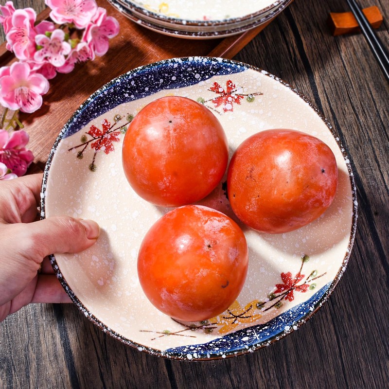 Swlthwen 4 Pcs Japanese Ceramic Dinner Plates, Household Tableware Plates