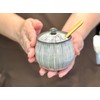 Sugar Pot Created by Mr. Coffee Shop, Konobiki Brush Line