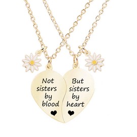 MJartoria BFF Necklace for 2-Split Valentine Heart Necklace Best Friends Not Sisters by Blood Daisy Pendant Friendship Necklace Set of 2 Gifts for Her (Golden-Not Sisters by Blood-Daisy)