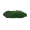Algae Shop Organic Chlorella Powder - 100 g | Rich