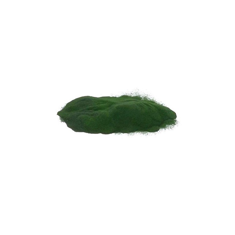 Algae Shop Organic Chlorella Powder - 100 g | Rich