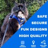 Travel Cat Harness and Leash Set - Adjustable Fit Mesh