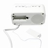 Wintech AM/FM Clock Radio CR – x1wl White LED dexyuaruara-mu