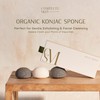 CSM Organic Konjac Sponges 3-Pack for Gentle Exfoliating - Facial