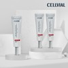 Selvielle 셀비엘 60초 주름지우개 필톡스 주름개선 크림 6개-무료체험분 포함/ 목