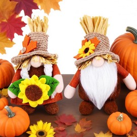BWFY 2pcs Fall Gnomes Decorations for Home, Thanksgiving Gnomes Plush with Pumpkin & Sunflower, Fall Gnome Home Table Tiered Tray Decor, Thanksgiving Harvest Autumn Decoration Gift
