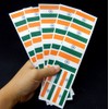 40 Removable Stickers: Indian Flag, India Party Favors, Decals