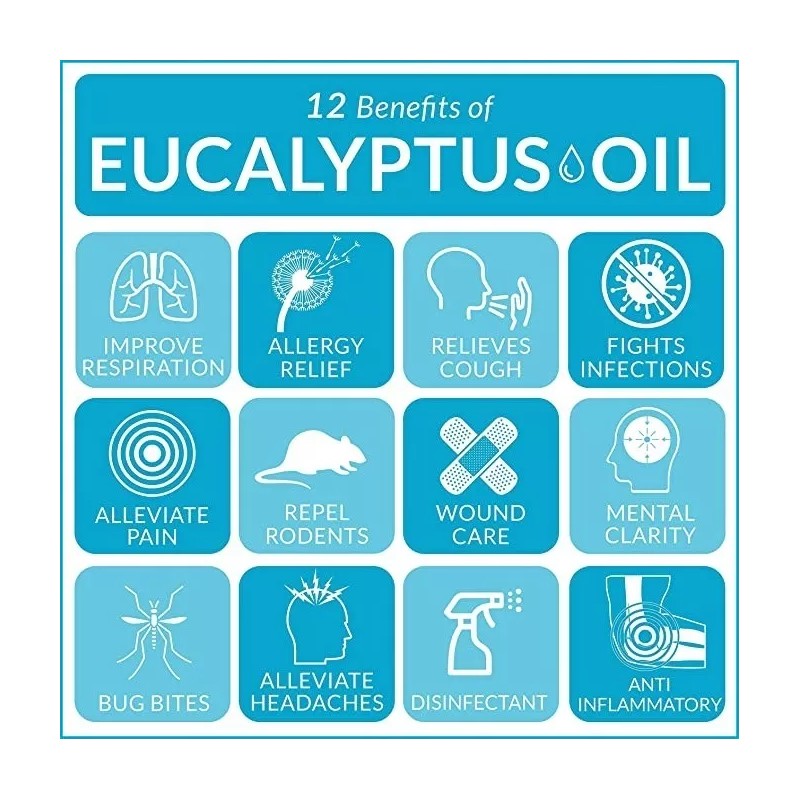 ArtNaturals Aceite Esencial De Eucalipto Grado Terapéutico 15 Ml
