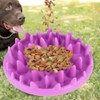 Pet Dog Slow Food Feeder Anti Choke Cat Eating Bowl