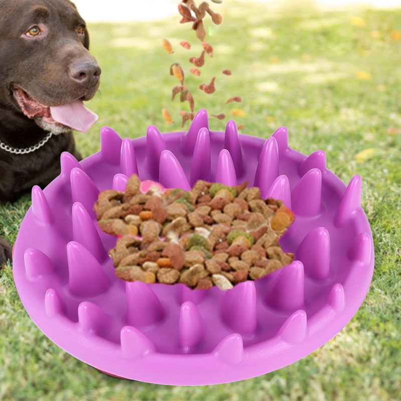 Pet Dog Slow Food Feeder Anti Choke Cat Eating Bowl