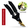 Professional Gardening Scissors - Sharp Bypass Pruner for Grafting, Trimming