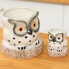 Owl pots 5.5+2.5 Inch With Reservoir Self Watering Plant Pots