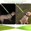 VIVAGLORY Short Dog Lead 24" Brilliant Yellow