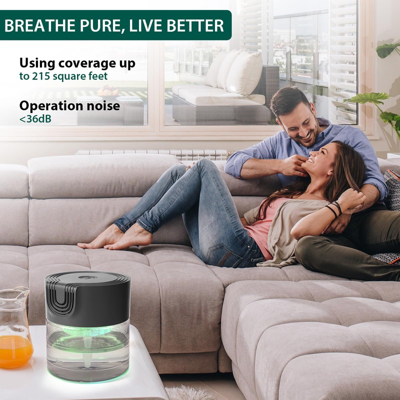 Water Air Purifiers for Home, Oxyvana Quiet Variable Speed Water