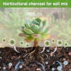2 Quarts Horticultural Charcoal for Indoor Plants-Hardwood Potting Soil Amendment