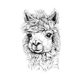 Newstamps Alpaca Stamp Large Wooden & Rubber for Cards and Gifts Crafts, Wooden Stamp for Animals, Animal Stamps, Scrapbook, Textile Stamp, Decoration, Children