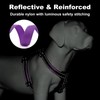 Plutus Pet Adjustable No Pull Dog Harness with Leather Accents,
