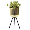 My Home My Living EC-08-1935 Gold Pot Black Tripod Plant