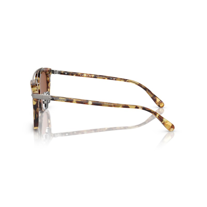 Coach HC8382 Sunglasses, Honey Tortoise/Brown Solid, 53 mm
