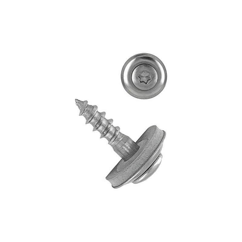 Pack of 100 Spengler Screws 4.5 x 25 Torx |