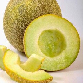 Melon Garden Seeds, Galia - Gallo - 100 Seeds - Non-GMO, Open Pollinated Fruit Gardening Seed