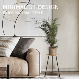 KINNARY Tall Plant Stand, Mid Century Wood Indoor Plant Stand Plant Table for Flower Pots, Metal Plant Holder, Modern Home Decor Small Round Side End Table (11.8"x20")