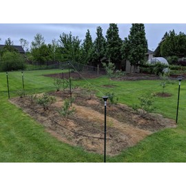 Net#Cap Bird Netting Post caps Madbird (5 Pack) for Bird-X, Birdbgone, Birdblock for Protecting Chickens, Blueberries. Strawberries, Fruit Trees, Grapes, Vegetable Gardens