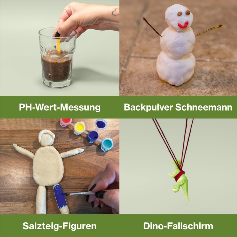 FRANZIS CheXperiment 67330 Advent Calendar: Research and Discover with Checker
