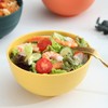 Kyraton Cereal Bowls 4 Pieces, Unbreakable And Reusable Light Weight