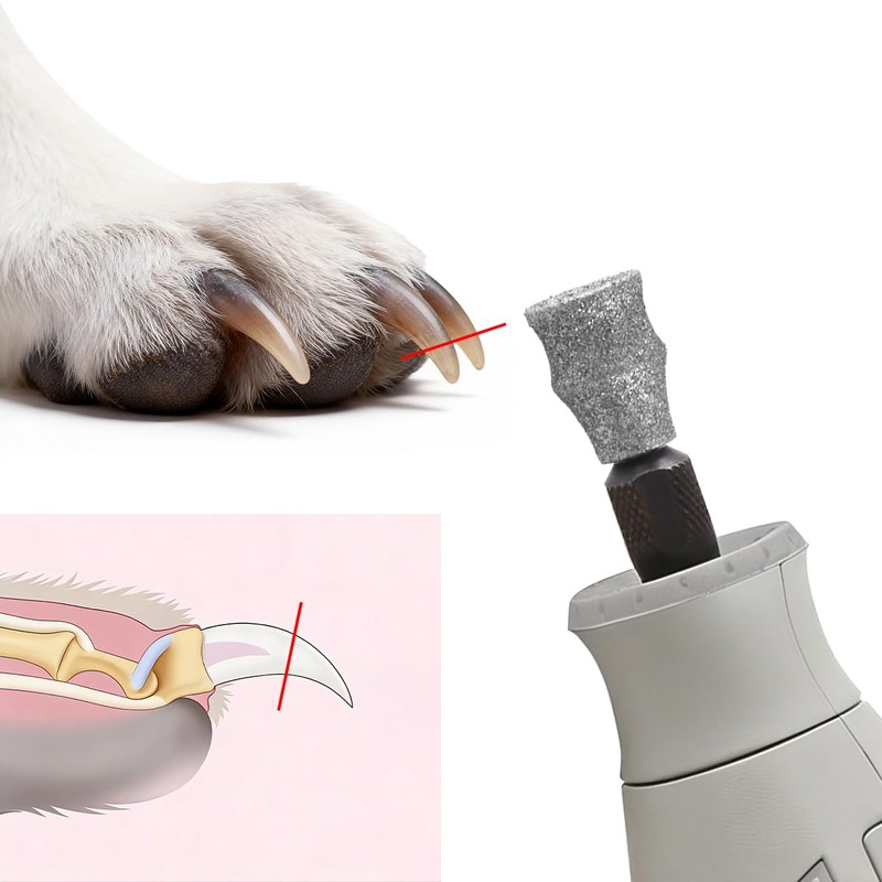 IVEKEN Dog Nail Grinder Bits for Dog and Cat Pet